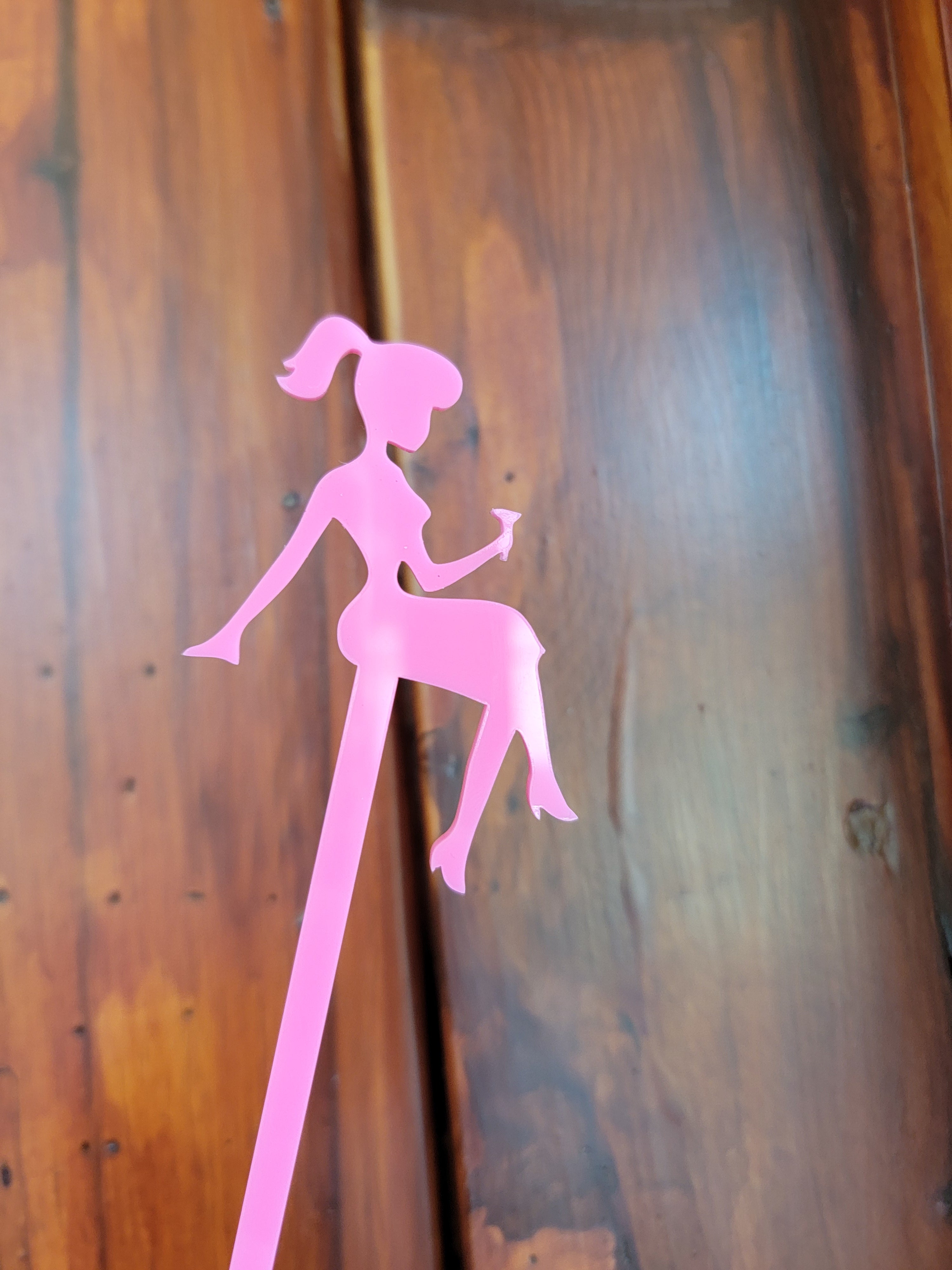 Barbie Inspired Swizzle Sticks