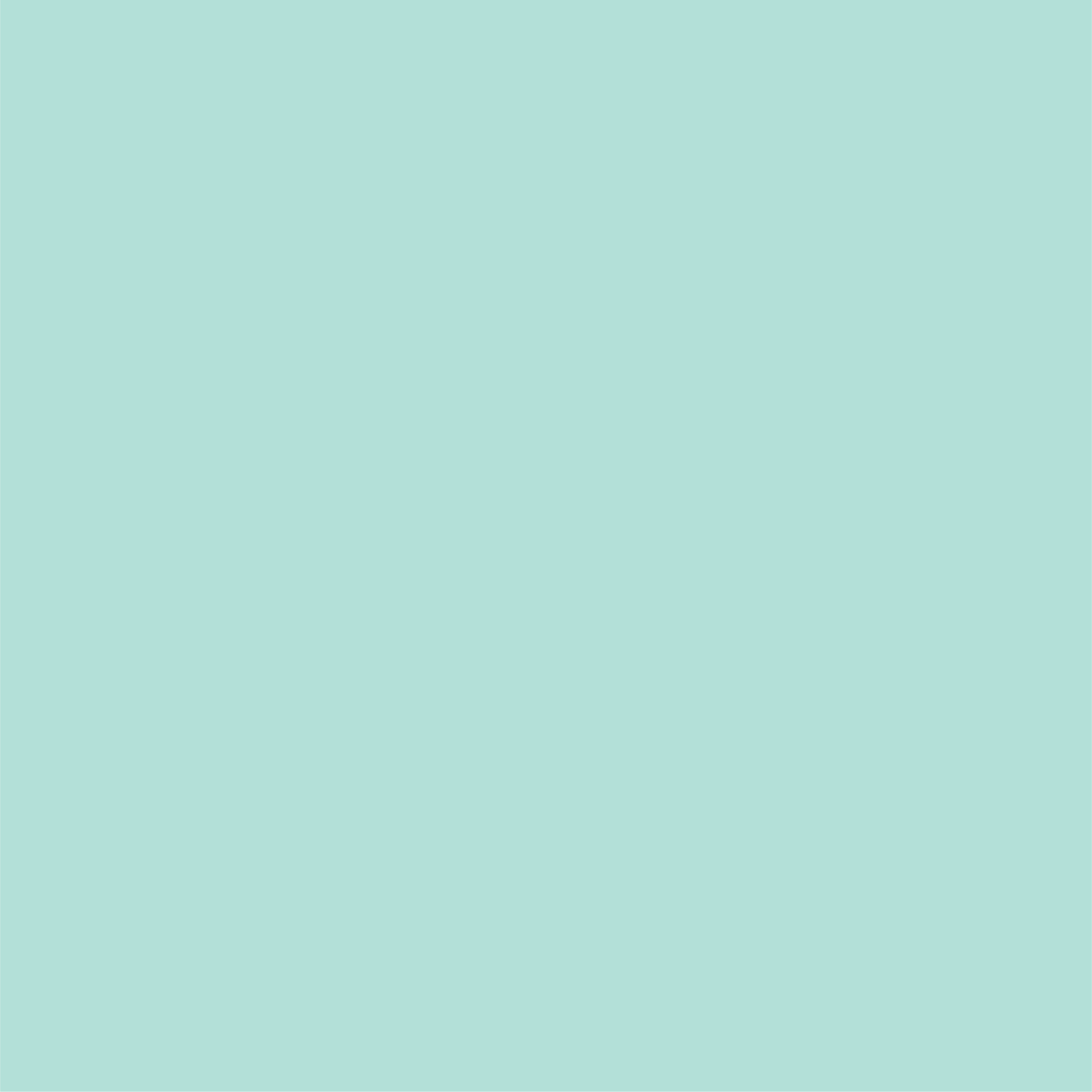 Cocktail Napkins: Mint Brushstroke