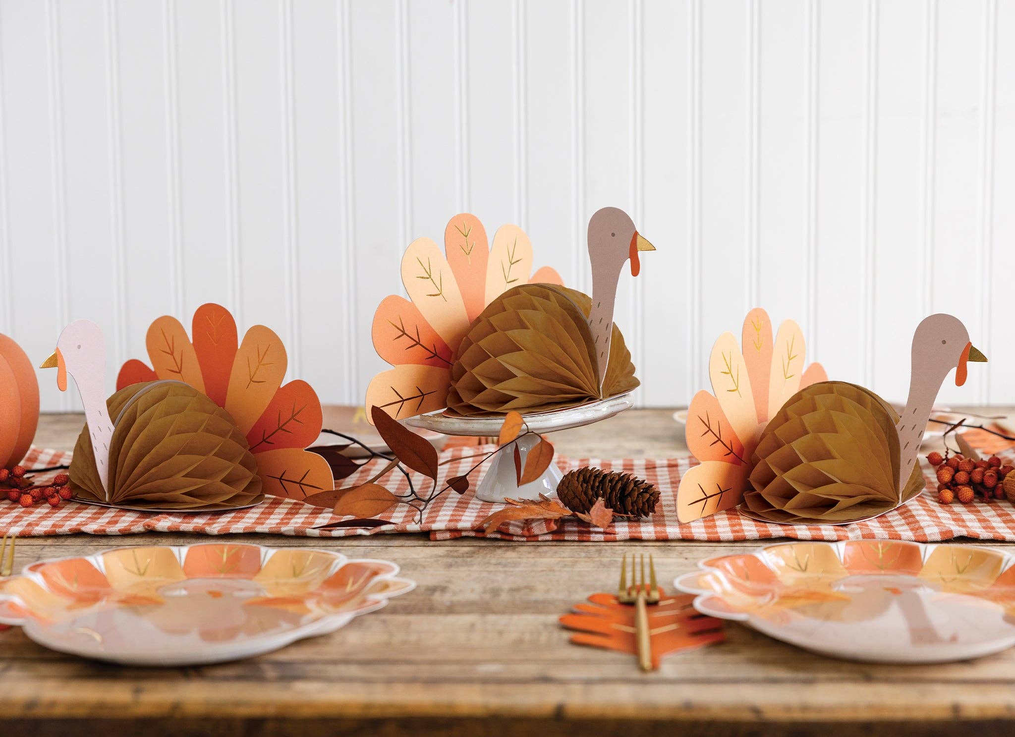 Honeycomb Turkey Set