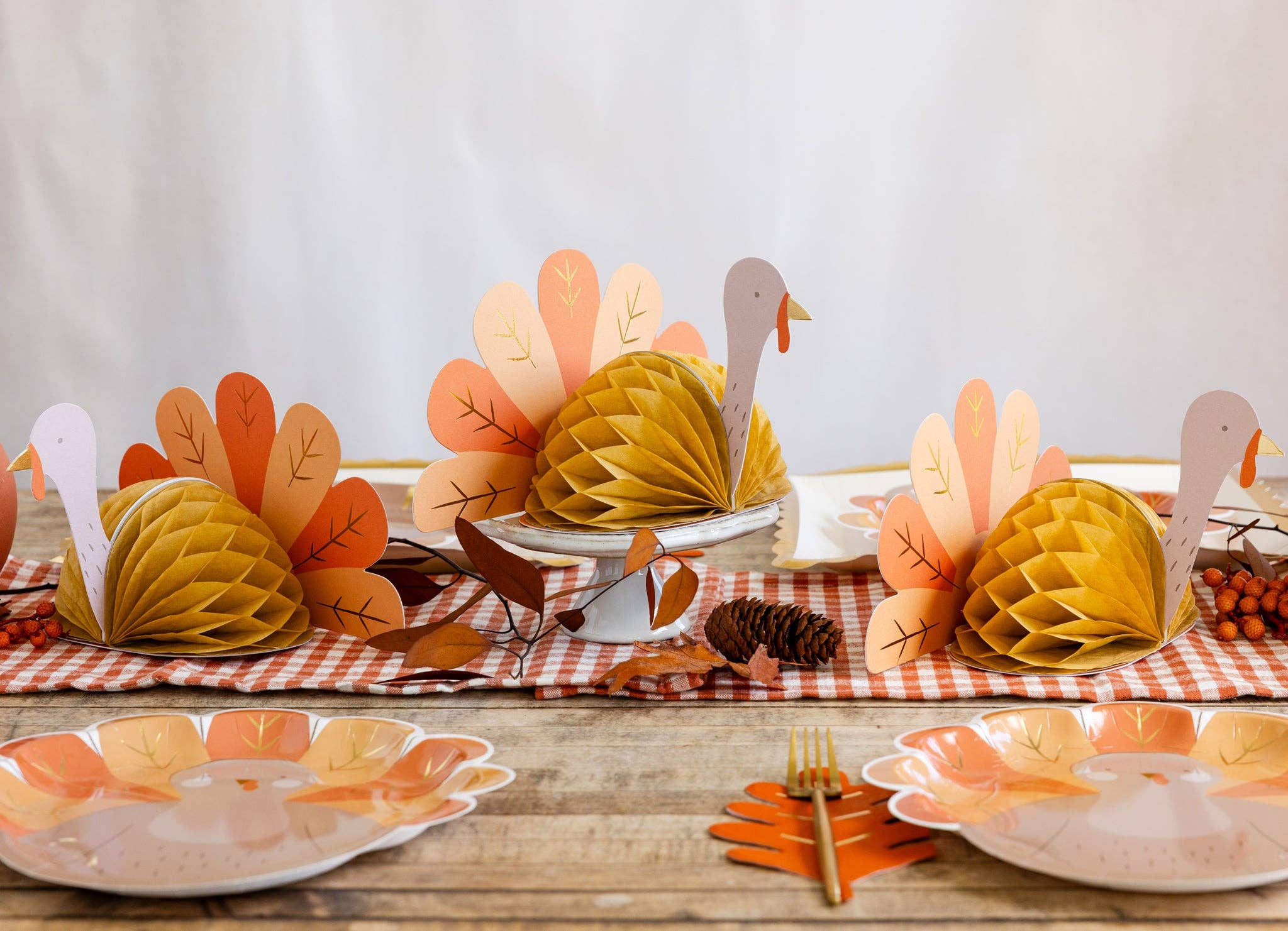 Honeycomb Turkey Set